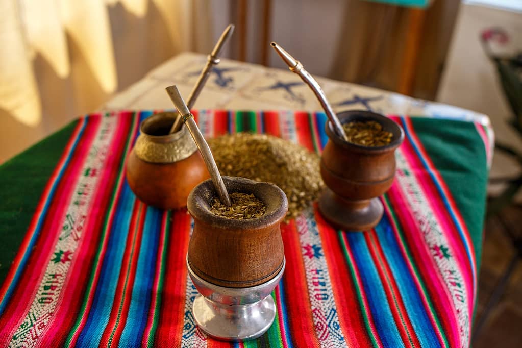 What does yerba mate taste like?