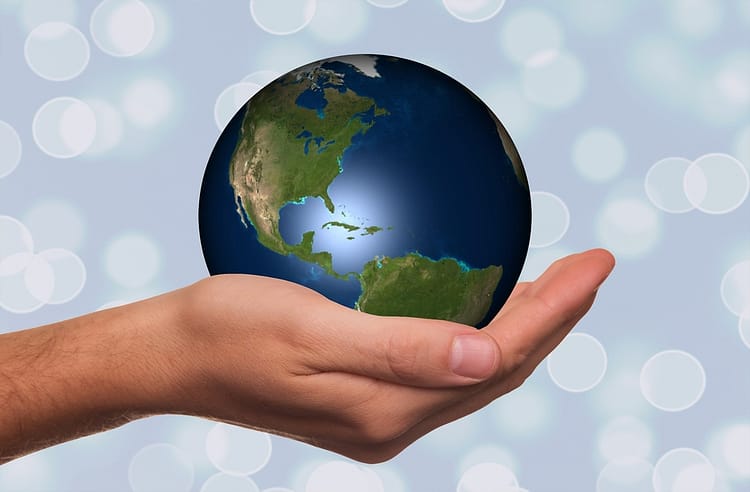 world on your plate