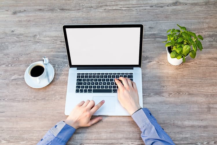 freelance business