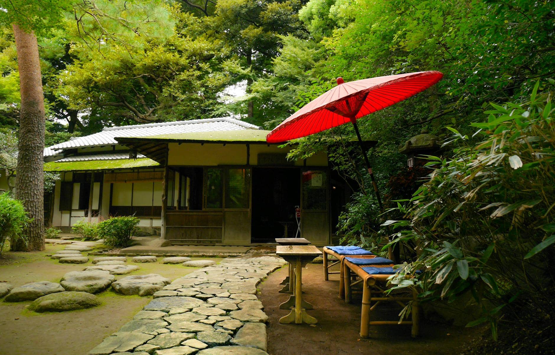 brown wooden table and chairs near green trees