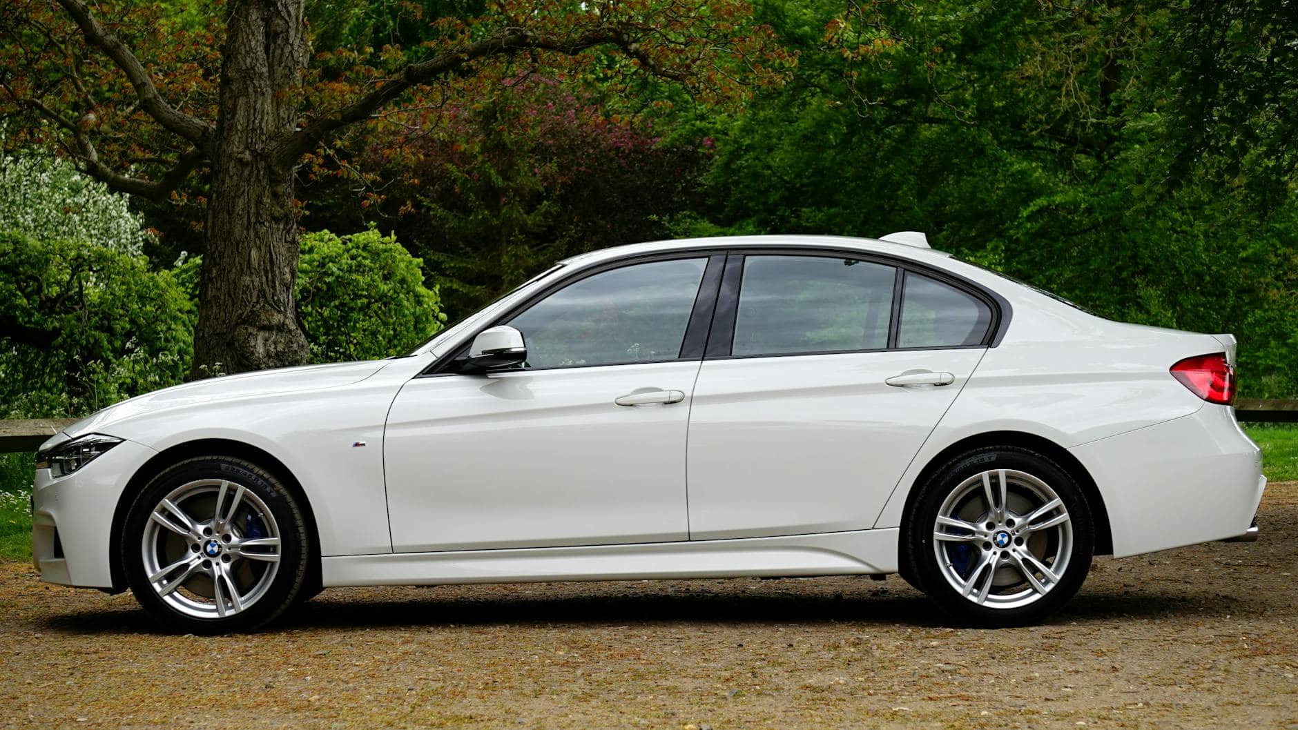 white bmw sedan parked beside tree